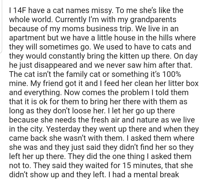 OP is having a serious mental breakdown after her grandparents lost her pet kitten. Worst of all, they seem uninterested in finding the cute critter.