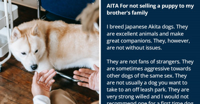 Experienced Akita Breeder Refuses to Sell a Puppy to His Brother Because He Believes He Can't Handle One and Gets Criticized by Some Family Members