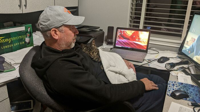 1. My Father And The Cat That Launched Onto Him At The Shelter 16 Years Ago