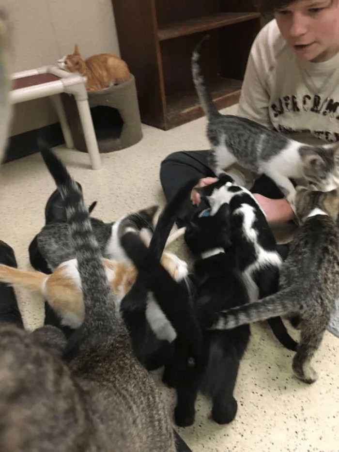 The boy is autistic and has been volunteering in a shelter