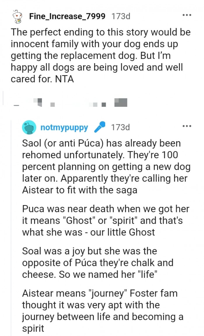 11. Puca was near death when we got her