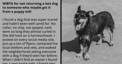 Redditor Who Tried Their Hardest To Find The Owner Of A Lost Puppy Refuses To Return It After Finding Him A New Home