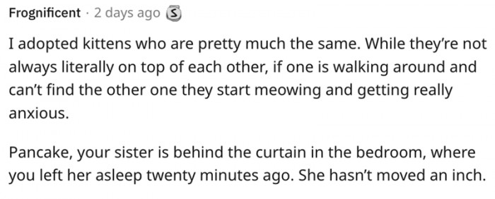 13. Your sister is behind the curtain in the bedroom