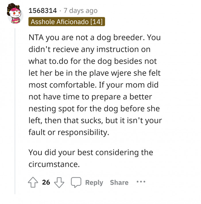 #12 Lacking instruction and not enough knowledge for the birthing process for Minnie.