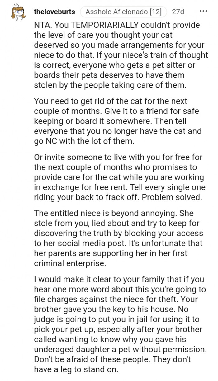 You couldn't provide the level of cat care