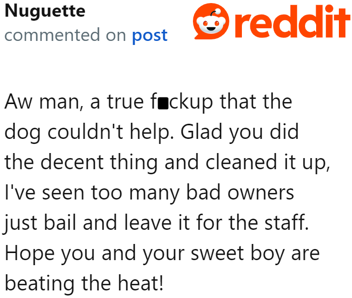A Redditor applauded the OP for being a responsible dog owner.