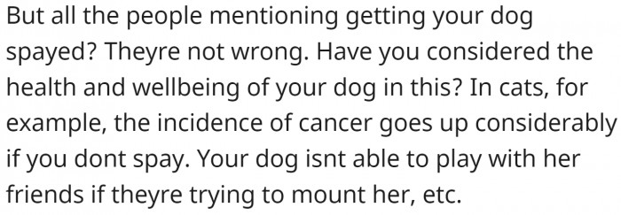 Has OP considered the alternatives?