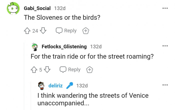 Just so you know, in Venice you could get fined for letting your pet roam the streets unaccompanied