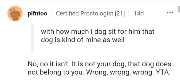 That dog does not belong to you