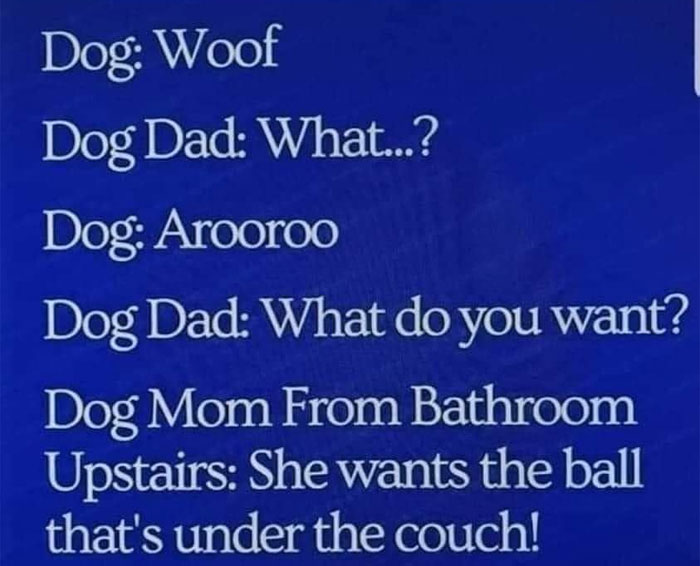 She knows the dog language.