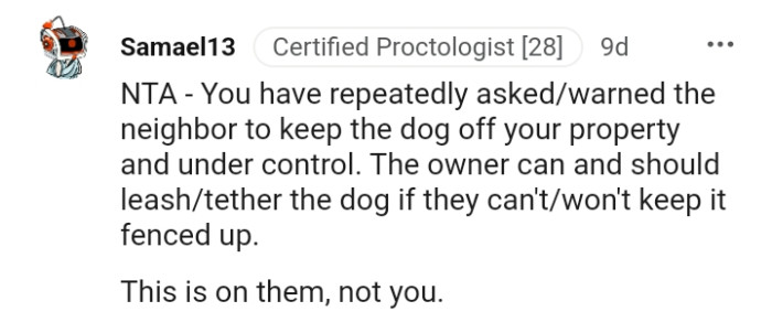 The Owner Can and Should Leash the Dog