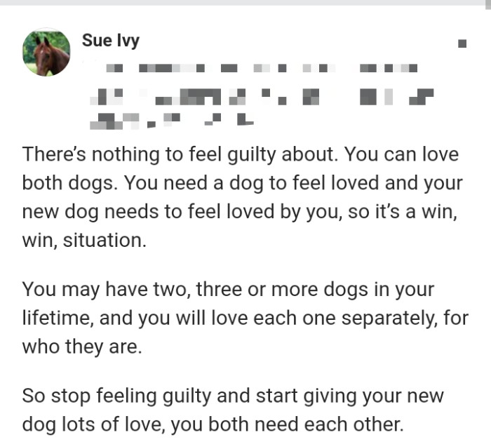 2. You need a dog to feel loved