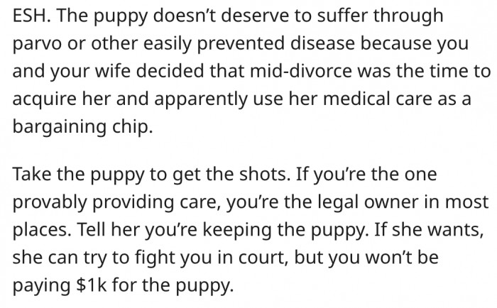 8. He shouldn't let the dog suffer preventable diseases because he and his wife are having issues.