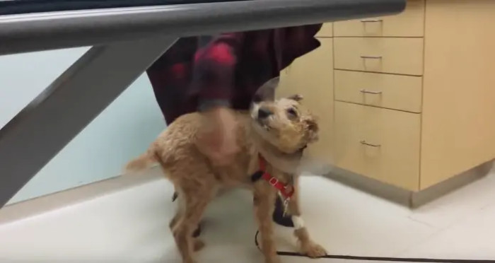 “We took him to the vet and they determined that his body wasn’t breaking down sugars and he was diabetic