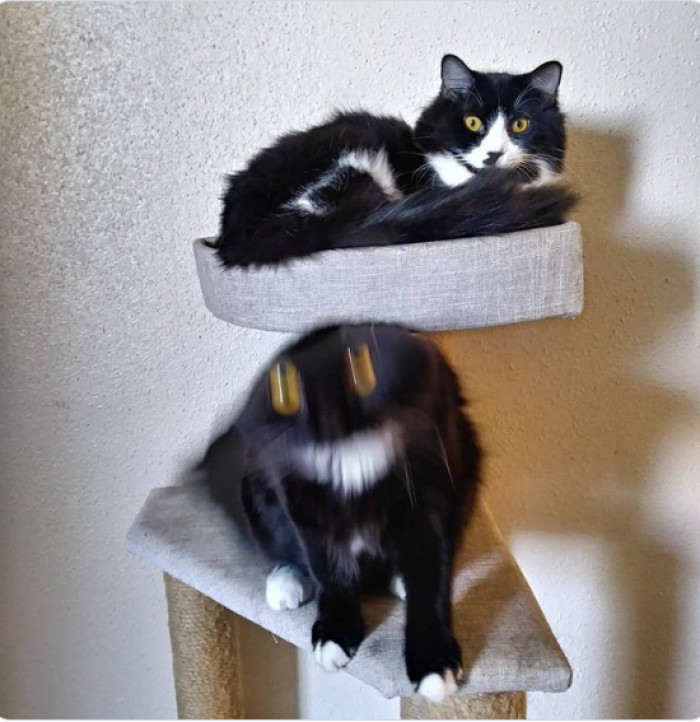 14. Smile for a photo.