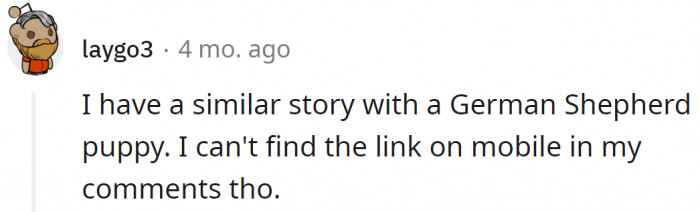 There are more people with similar experiences