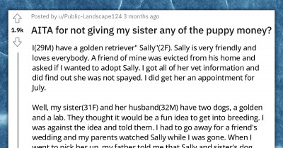 Man Refuses To Give His Sister Any Of The Puppy Money Because She Didn’t Help Out With Them
