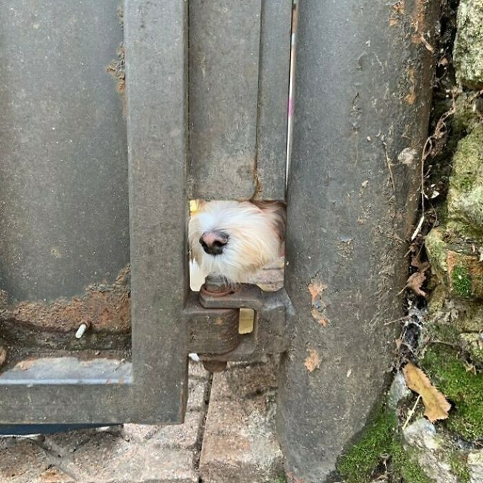 33. Hey, you! Come closer; I have something to tell you