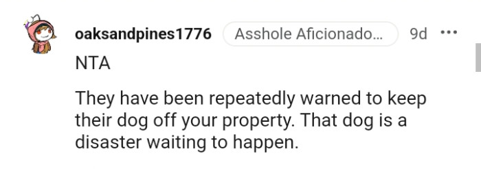 That Dog Is a Disaster Waiting to Happen