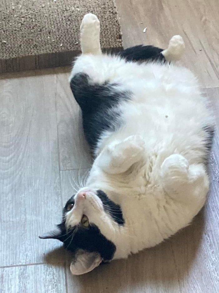 3. Rue chose her human.