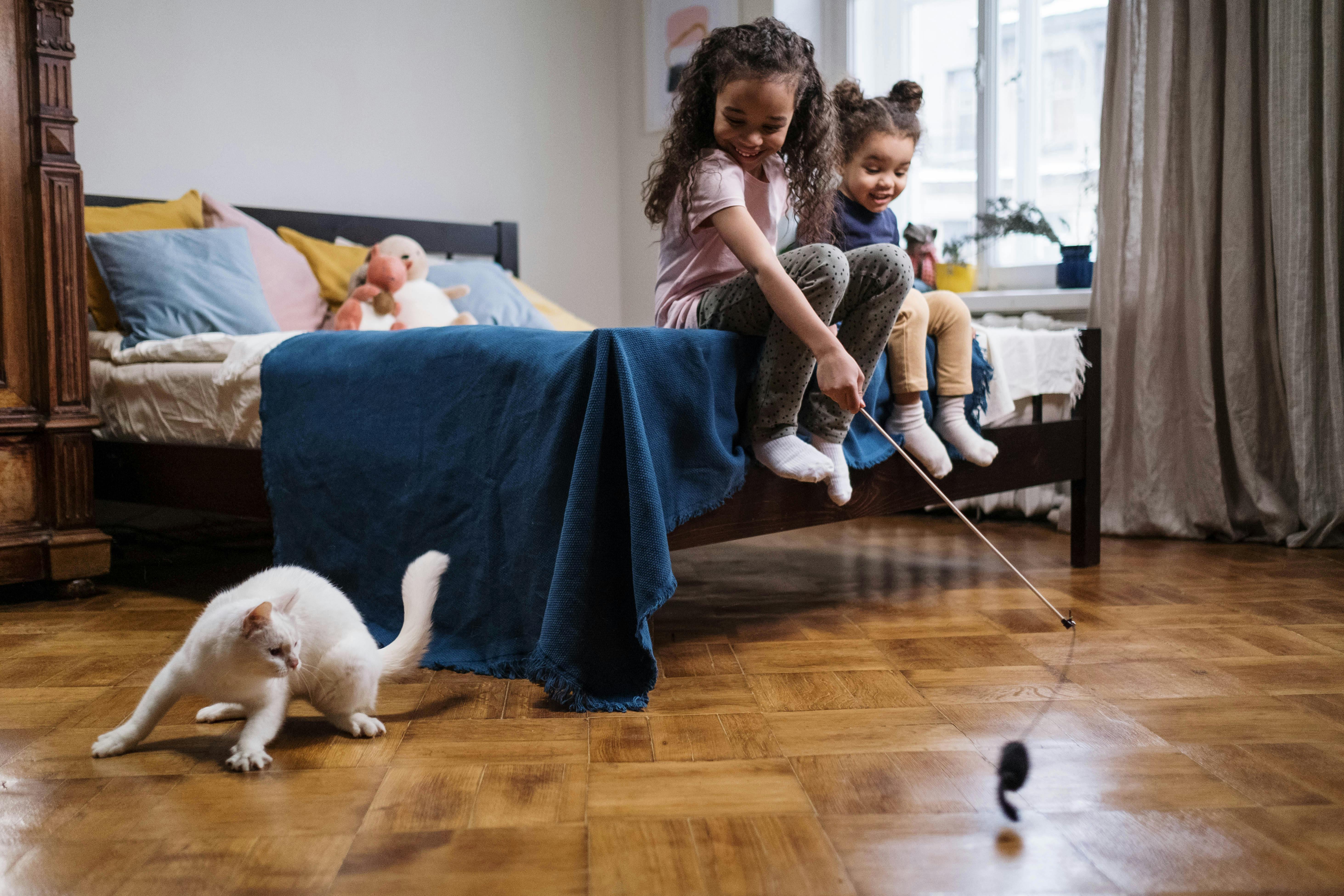 The Human-Cat Connection