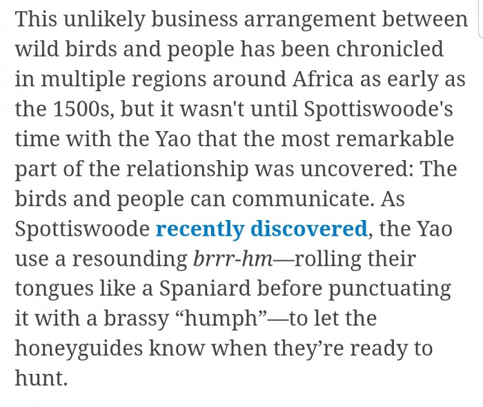 An unlikely business arrangement that has served since the 1500s