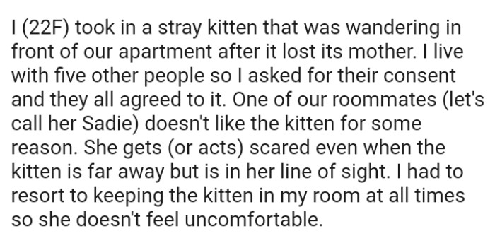 One of the OP's roommates doesn't like the kitten for some reason, despite giving her approval