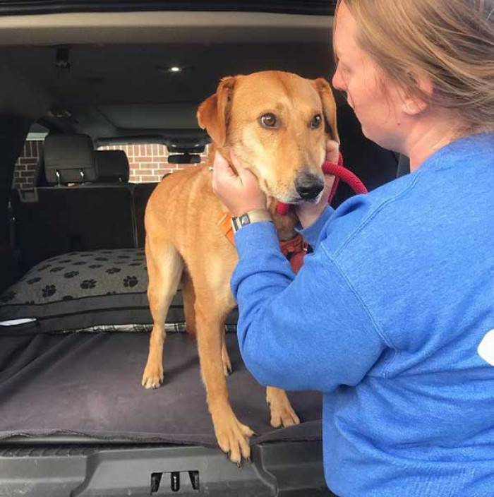 On March 18, the Outer Banks SPCA announced joyfully that Acorn had at last been adopted