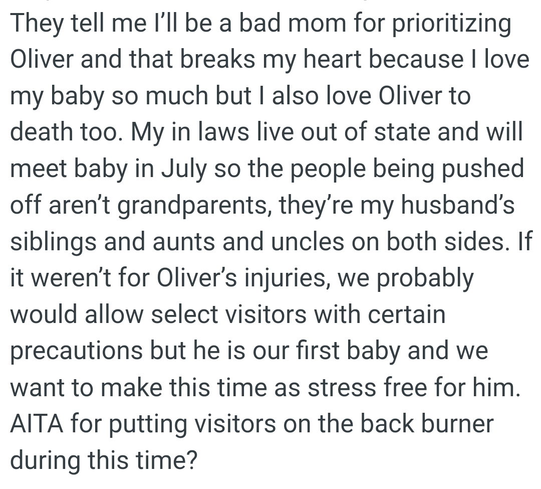 The Dog Is Their First Baby, and They Want to Make This Time as Stress-Free for Him as Possible