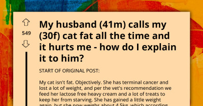 Cat Mom Cries Out As She Doesn't Know How To Stop Husband From Fat-Shaming Her Cat