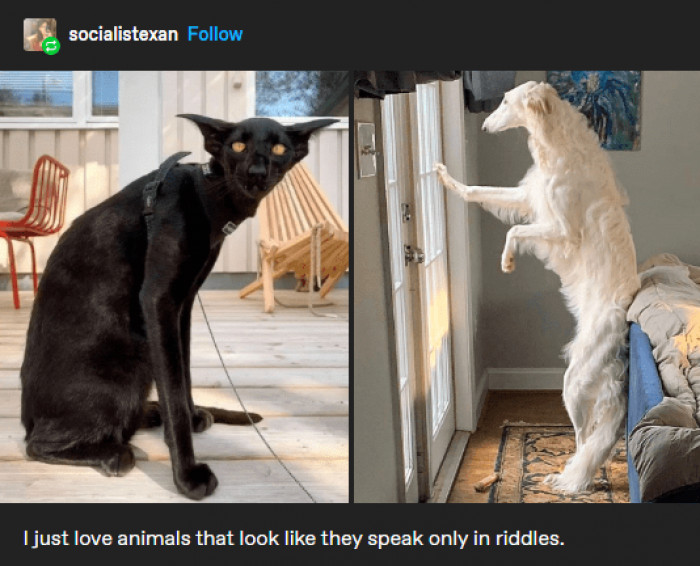 4. This photo says it all: