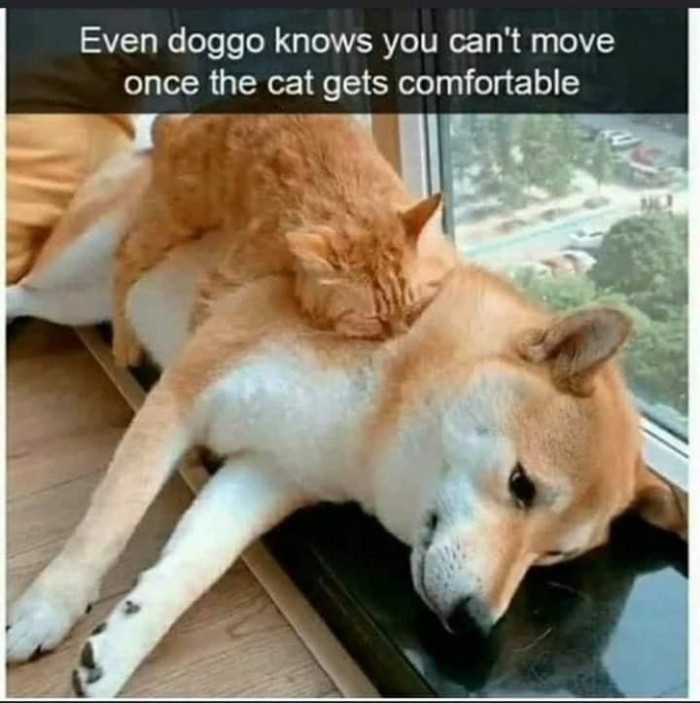 24. It's a known fact