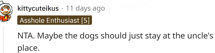 Maybe the dogs should stay with the uncle?