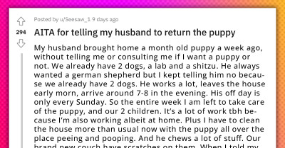 Wife Asks Husband To Return The Puppy He Impulsively Adopted Since He's Never Around To Share The Workload