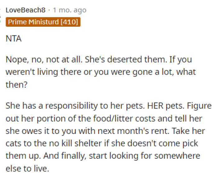 Many people put this into perspective for OP and her roommate because if it weren't for OP, her roommate's cats might not even be alive.