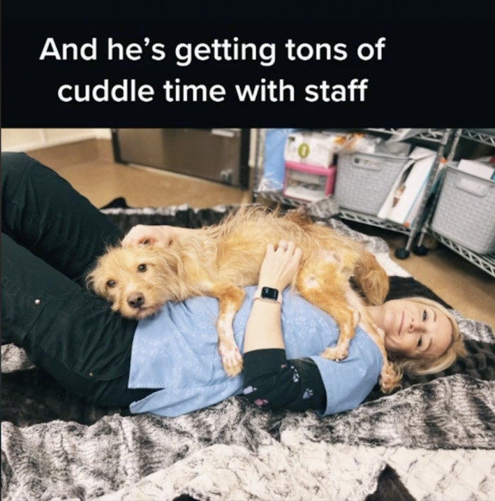 His office breaks include lots of love and cuddles