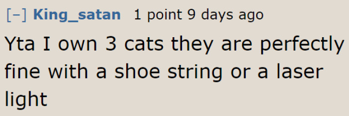 Cats' toys don't have to be expensive, according to this cat owner.