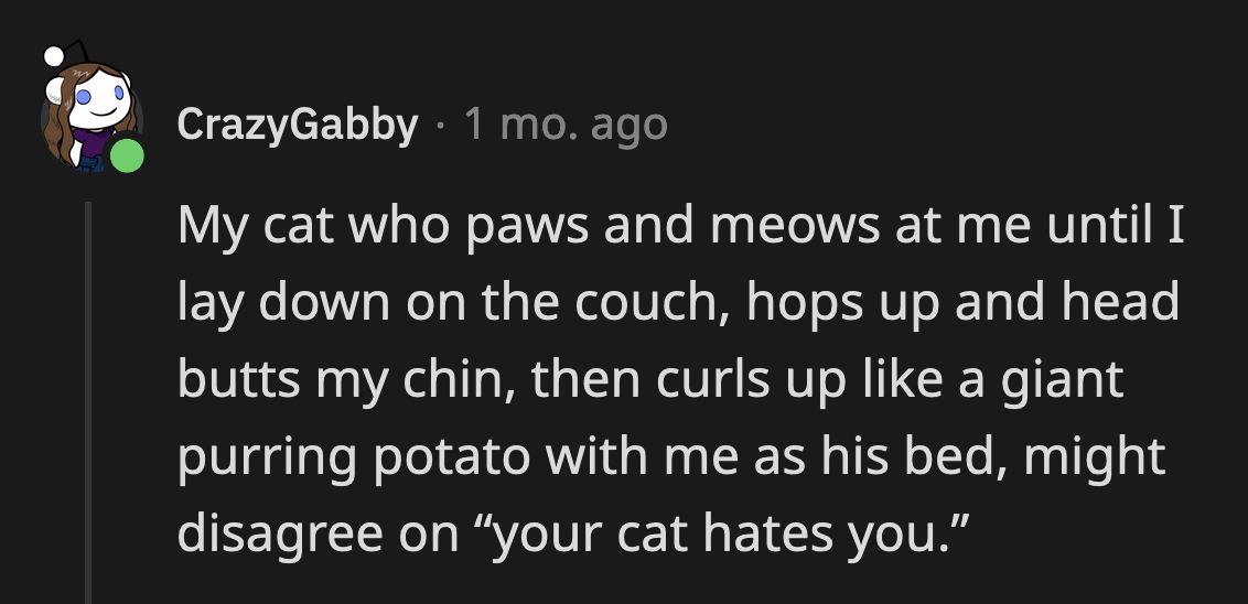 But pets are all different. They have distinct personalities. Not all dogs are affectionate and not all cats are aloof.