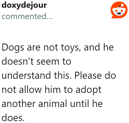 The OP Needs to Stand Her Ground and Do Her Best to Stop Her Boyfriend from Getting Another Dog He'll Just Neglect