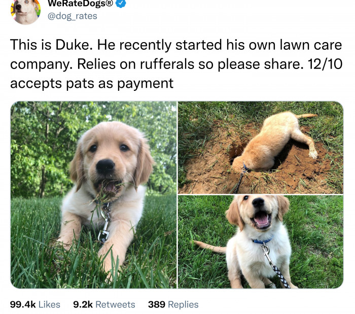 7. The Best Payment Method Out There.