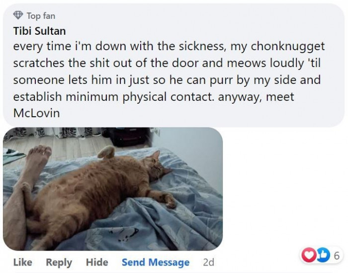 14. McLovin wants to be by his human's side whenever he's sick