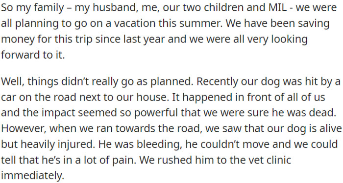 Family's eagerly awaited summer vacation with her husband, two kids, and mother-in-law was jeopardized due to the beloved dog's severe accident after being hit by a car in front of them