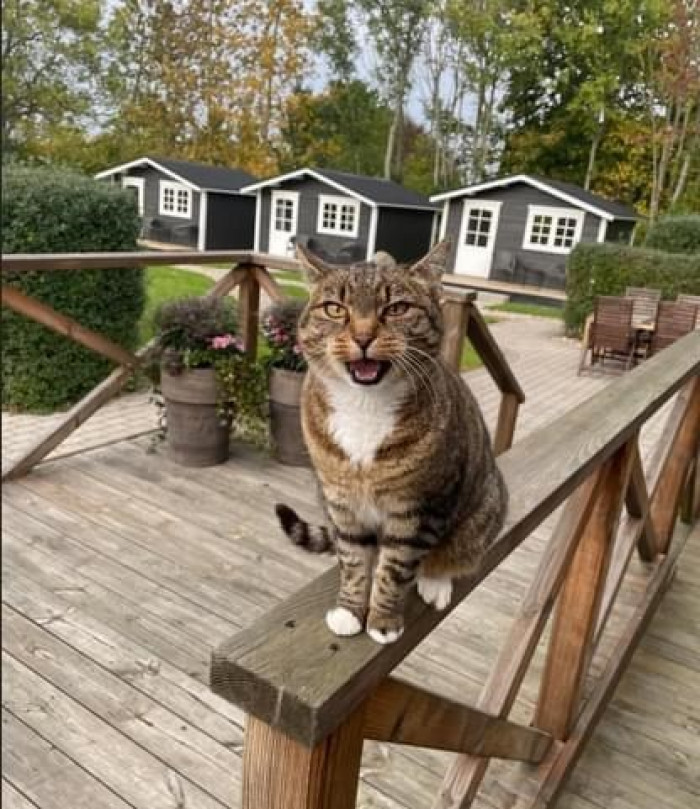 18. Are you ready to go have some fun?