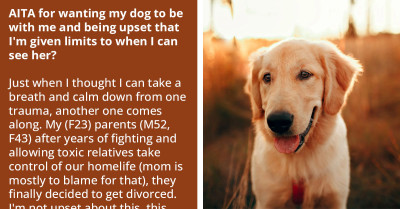 Redditor Shares Heartbreaking Story About Being Separated From Her Dog, But Redditors Call Her Out For Being Entitled And Sadfishing