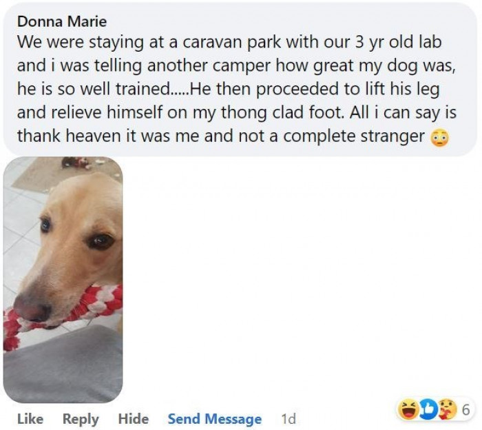 10. Their true colors always come out when you least expect it