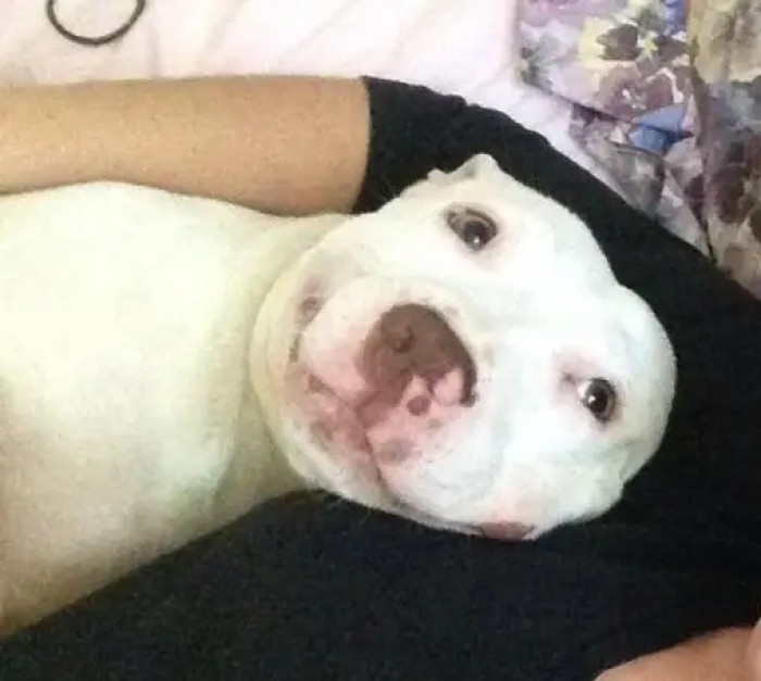 18. Cashing in on snuggle time