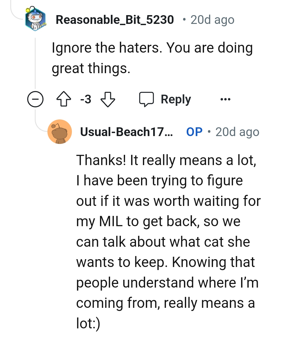 The OP is happy this Redditor understands