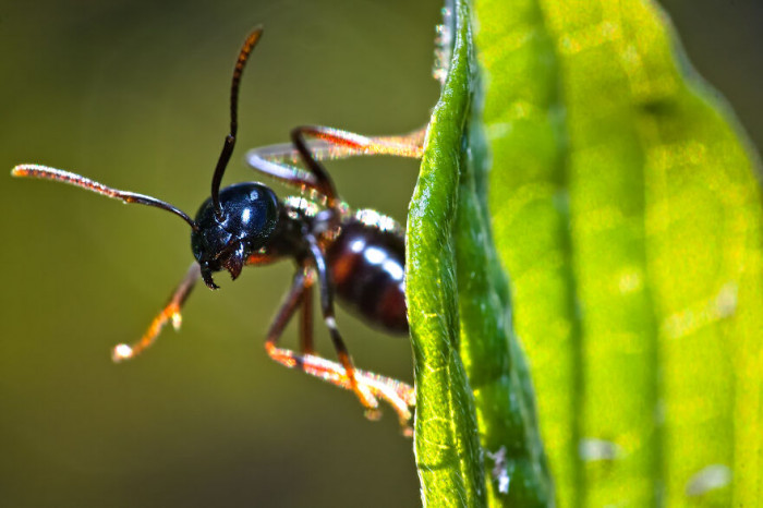 7. What are you doing here? Go away now!