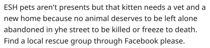 14. She should find a local rescue group to adopt the kitten.