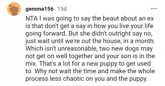 There's a lot for the new puppy to get used to